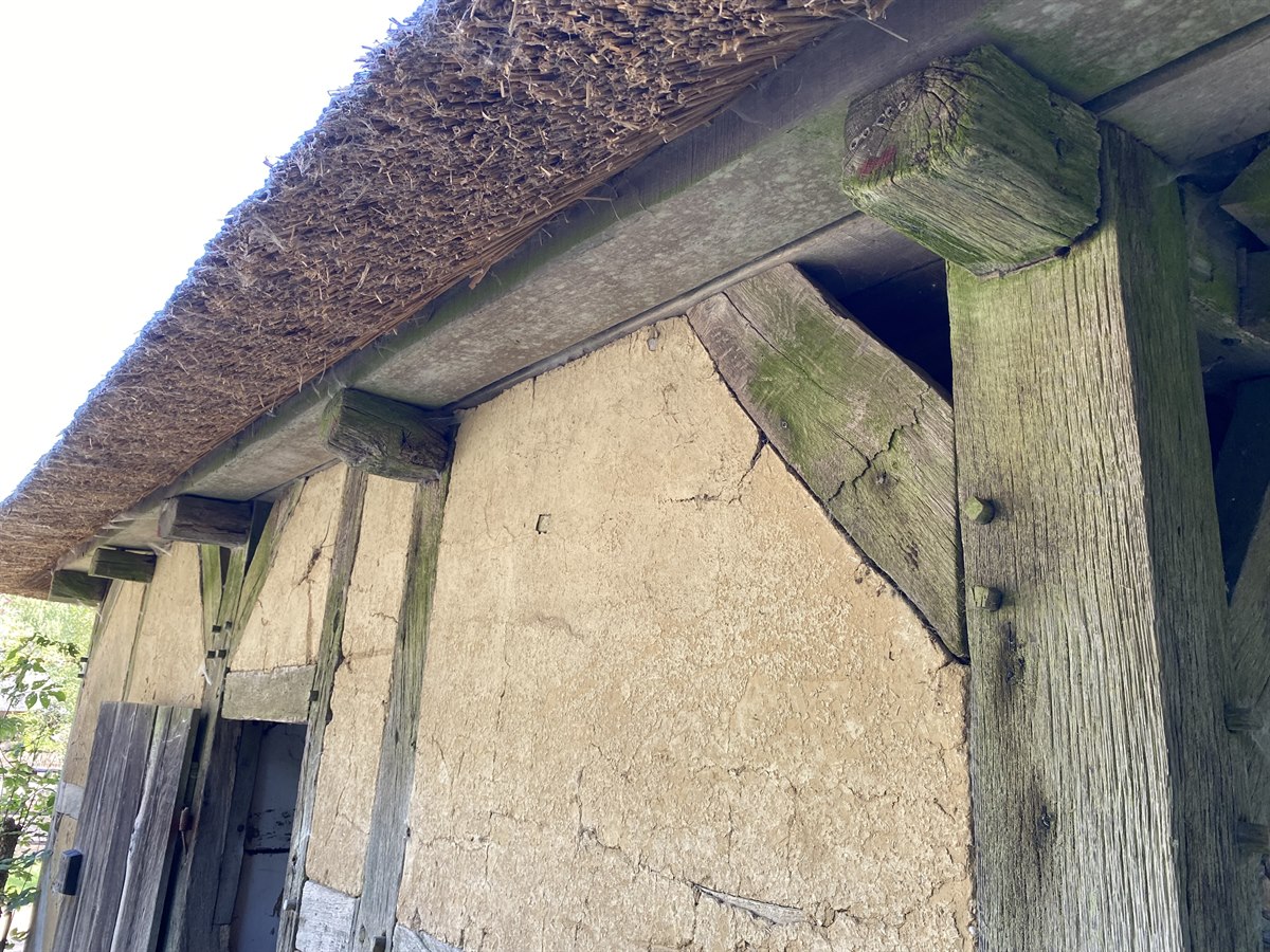 Historisches Fachwerkhaus mit Reetdach